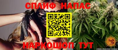 стаф Ярославль