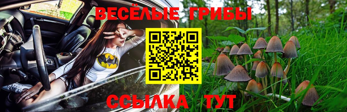 Псилоцибиновые грибы Psilocybe Электросталь
