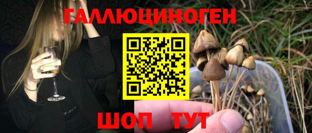 Псилоцибиновые грибы мицелий  Галлюциногенные грибы Cubensis  Электросталь  Вход с VPN 